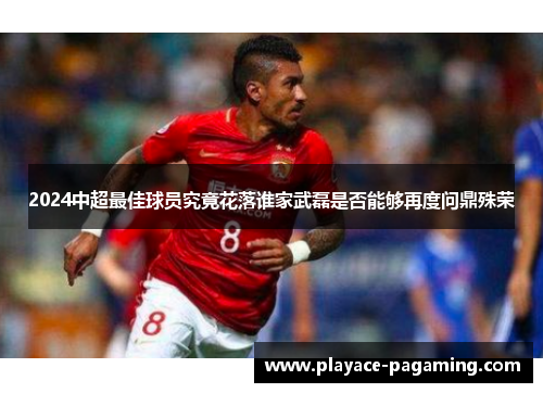 2024中超最佳球员究竟花落谁家武磊是否能够再度问鼎殊荣