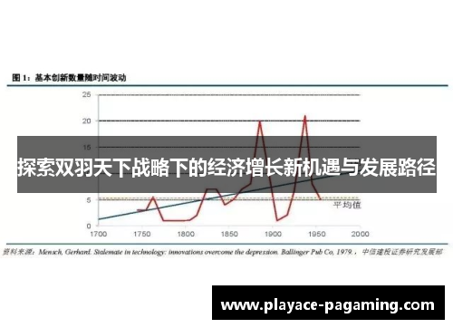 探索双羽天下战略下的经济增长新机遇与发展路径