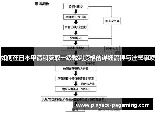 如何在日本申请和获取一级裁判资格的详细流程与注意事项