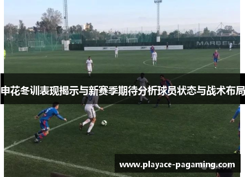 申花冬训表现揭示与新赛季期待分析球员状态与战术布局
