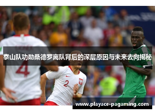 泰山队功勋桑德罗离队背后的深层原因与未来去向揭秘