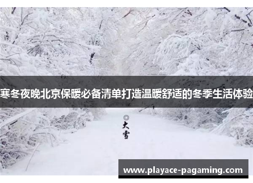 寒冬夜晚北京保暖必备清单打造温暖舒适的冬季生活体验