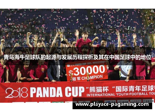 青岛海牛足球队的起源与发展历程探析及其在中国足球中的地位