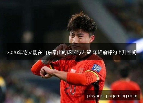 2026年谢文能在山东泰山的成长与去留 年轻前锋的上升空间